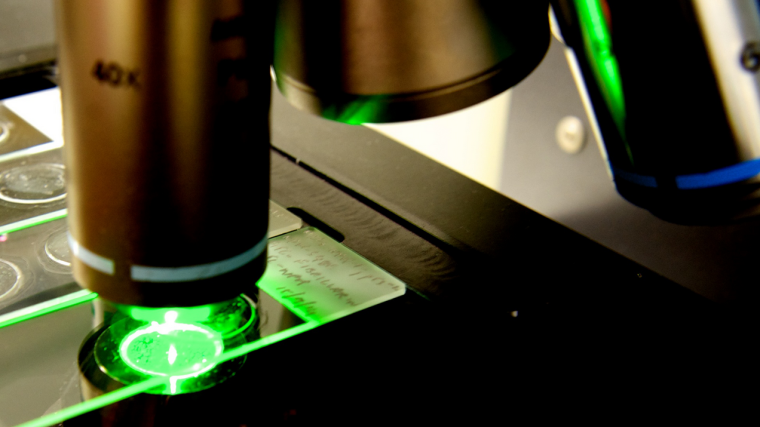 The Microscopy SRF aims to provide research groups with imaging technologies to investigate cellular processes both in vitro and in vivo.